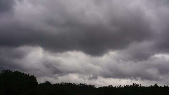 阴天森林乌云飘过树林阴雨天森林大景松树林