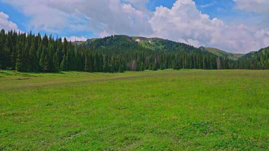 新疆博乐天山大峡谷自然风景