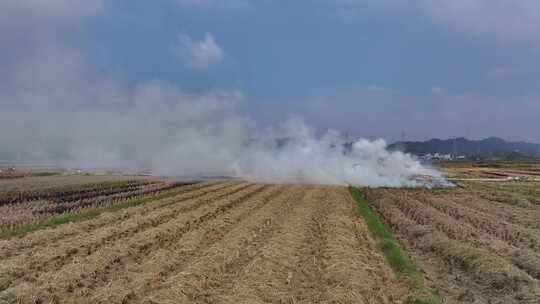 惠州万亩现代化实验农田航拍