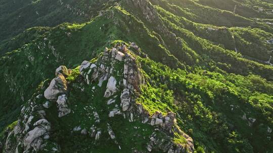 青岛浮山