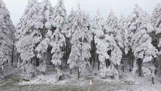 航拍女人走在雪后的鹿儿坪森林前