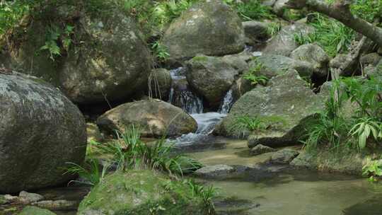 山涧清泉流水纯净山泉水