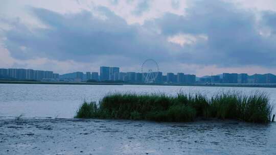 水边草地与摩天轮后的城市建筑群