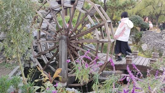 景观水车和鲜花