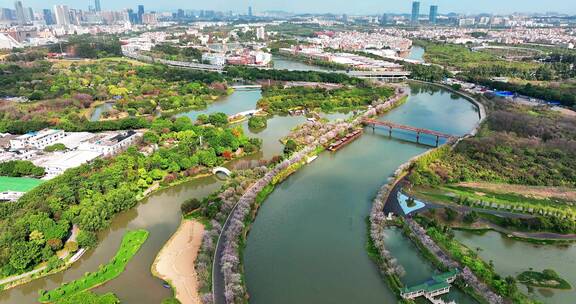 广州海珠国家湿地公园2022年春天航拍