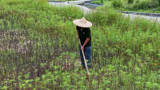 草帽老人锄地视频素材模板下载