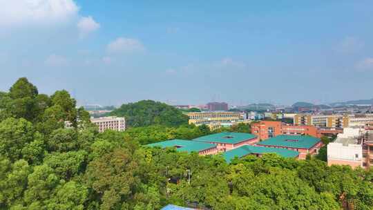 广州大学城航拍校园广州番禺区广东城市风景