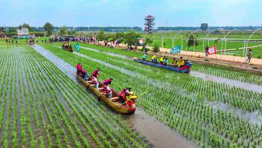 辽宁锡伯族端午节稻田地赛龙舟比赛