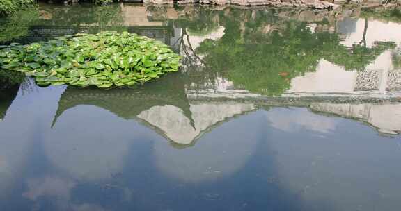 典雅的古建池塘庭院 私家园林网师园