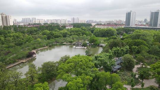 上海植物园航拍品种绿色植被4K航拍