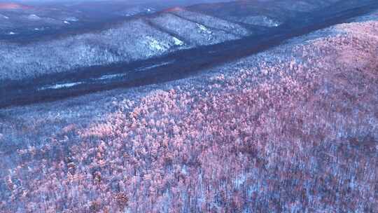 大兴安岭林海雪原暮色