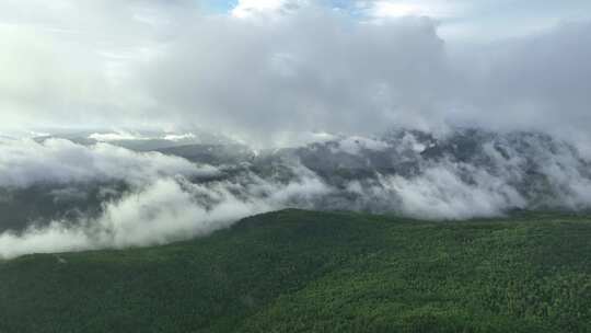 航拍大兴安岭山林云雾缭绕视频素材模板下载