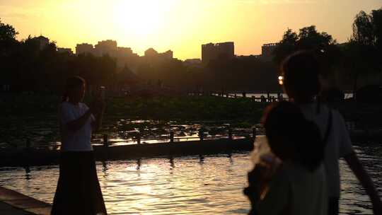 济南大明湖夏季荷花盛开，傍晚夕阳晚霞迷人