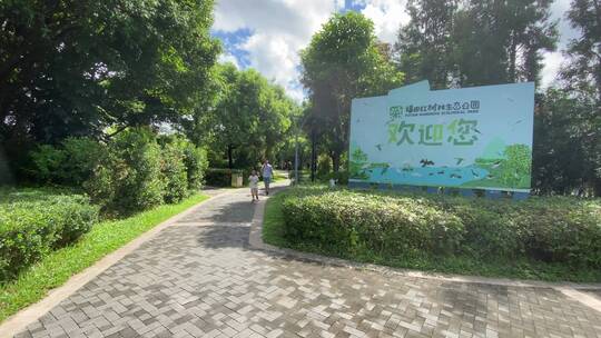 福田红树林生态公园深圳湾湿地