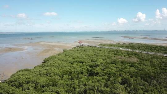 湛江特呈岛