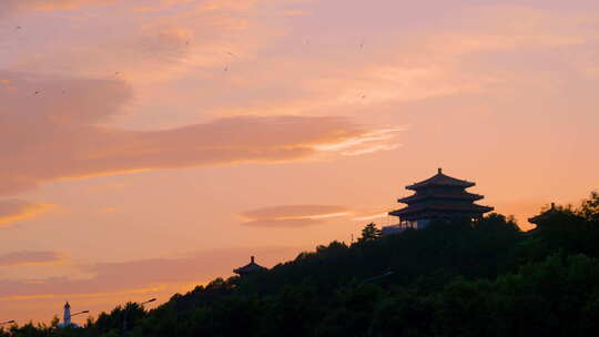 北京景山夏日夕阳雨燕慢镜头