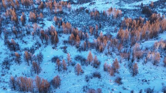 航拍大兴安岭林海雪原风光