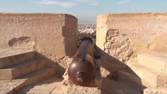 城墙上的大炮 (2)