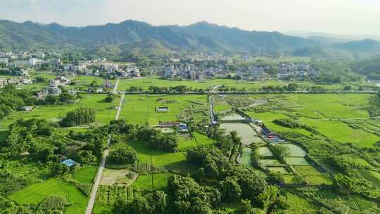 航拍乡村田野