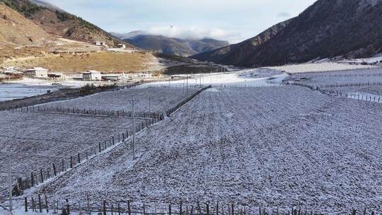 川西航拍雪后的上城子村雪景田园风光