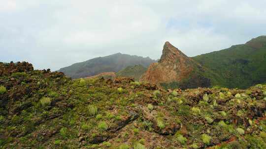 特内里费岛，山，草，灌木