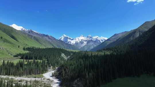 新疆昭苏夏塔雪山