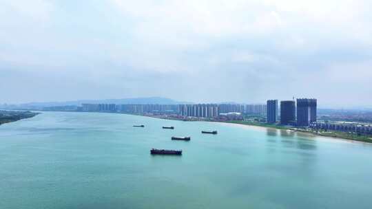 珠三角西江流域航运繁忙的景象