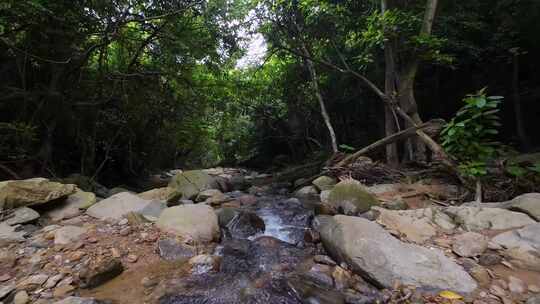 穿越机航拍深圳梧桐山麻水凤林间溪谷