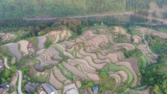 航拍农业种植田野梯田