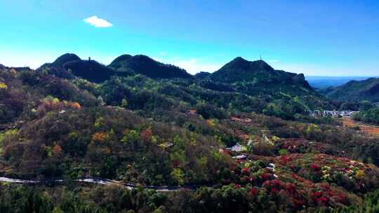4K航拍贵州黔西南最美的杜鹃花盛开风景