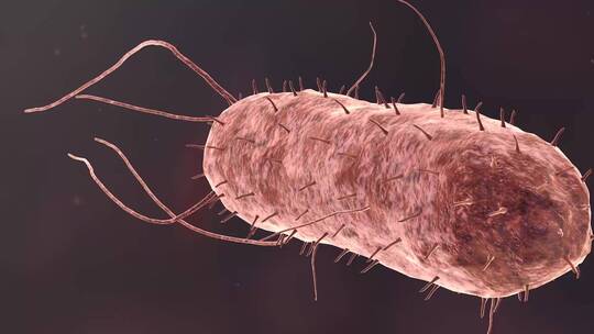 医疗病菌病毒细菌分子病原体生物三维动画
