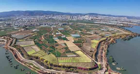 玉溪江川区星云湖国家湿地公园航拍0917