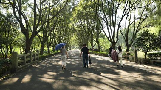 浙江绍兴新昌大佛寺内风景视频素材模板下载