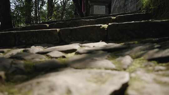 【正版素材】通海秀山普光寺茶花园