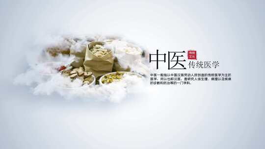  水墨中国风书本中医文化宣传模板