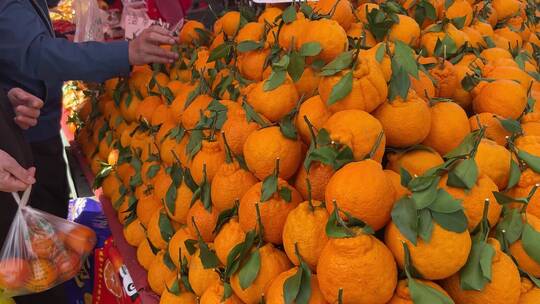 【镜头合集】菜市场买沃柑粑粑橙橘子橙子