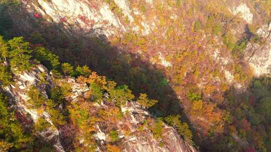 南阳老界岭秋景风光