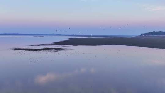 候鸟群飞 鄱阳湖日落