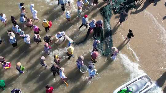 福建东山金銮湾海边拉网捕鱼航拍视频素材模板下载