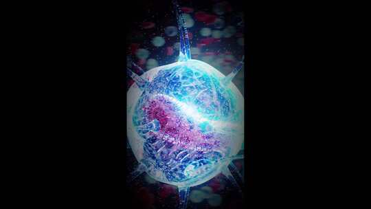 巨噬细胞攻击细菌的概念垂直动画