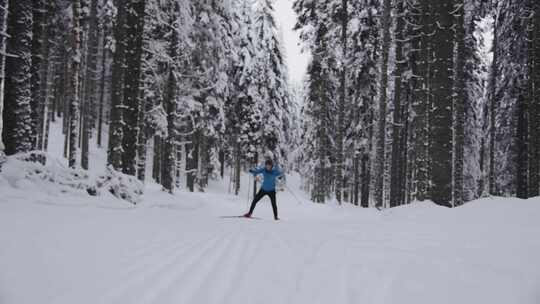 女人，滑雪者，运动，冬天