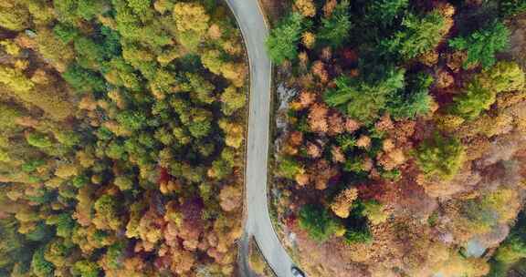 穿过山林的道路航拍