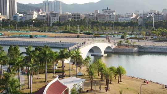 厦门 海沧 马銮湾 湿地公园 落羽杉