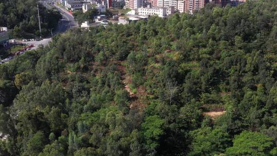 航拍深圳城市生态绿化