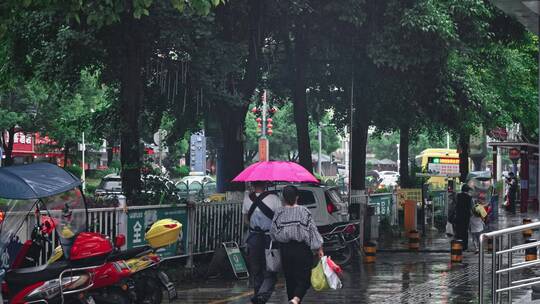 4k实拍雨中行人打伞