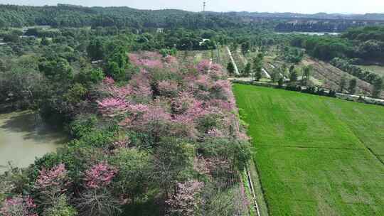 中国广东省佛山市三水区江根村三江缘