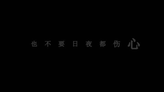 羽·泉-冷酷到底歌词dxv编码字幕