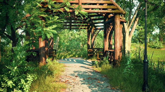 夏季公园空荡荡的行人路