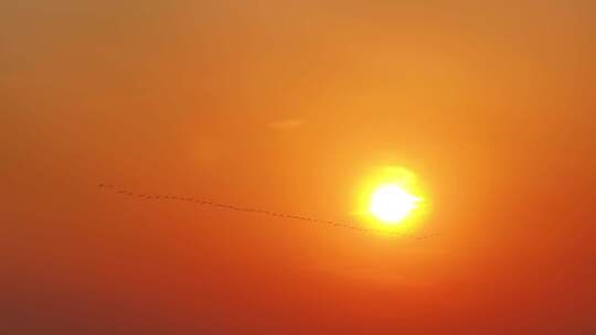 雁阵夕阳