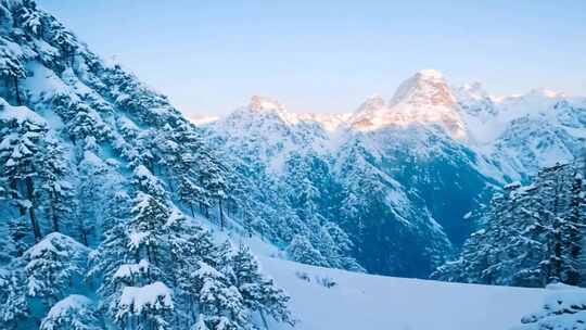 雪山与雪松林组成的壮丽冬日雪景